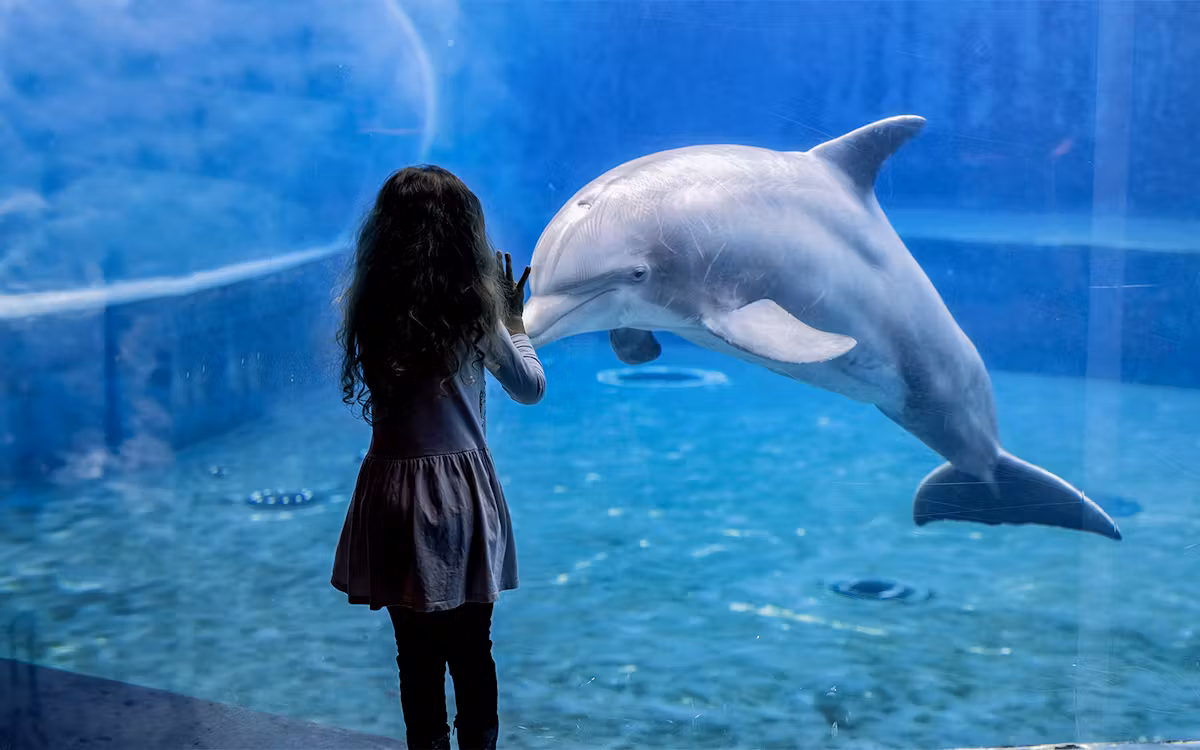 Acuario de Génova – Génova – Italia